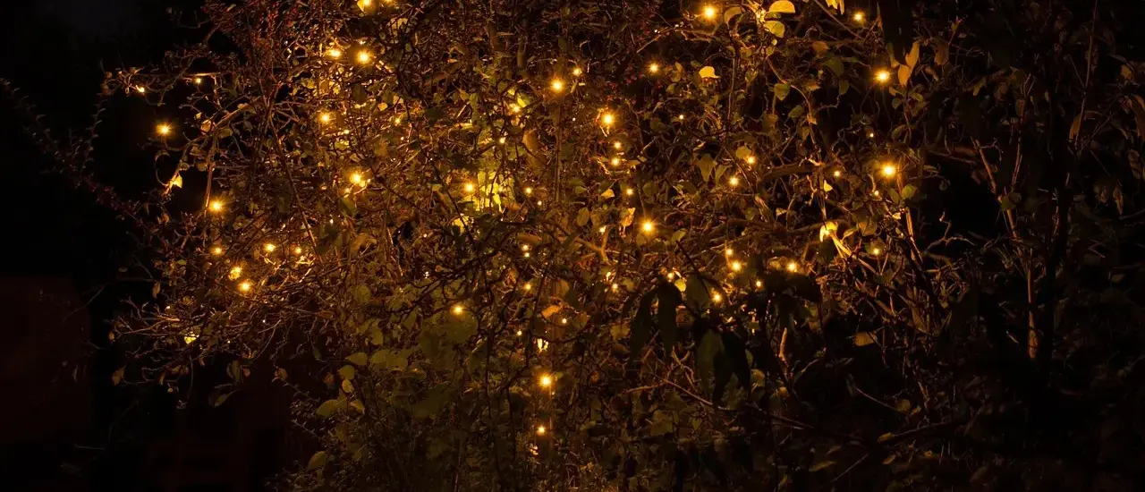 Magisk havebelysning: Lysdesign der forlænger sommeraftenerne